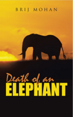 View or Buy at Amazon